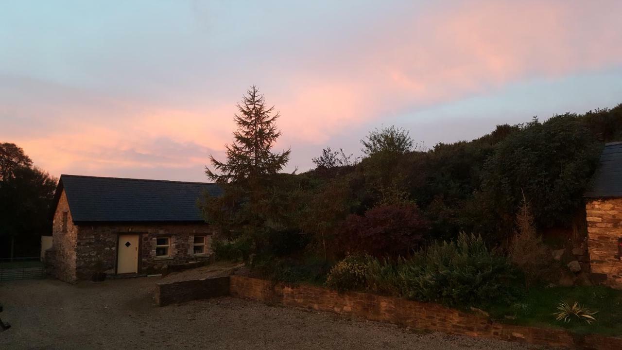 Tara Hill Estate Villa Gorey Kültér fotó